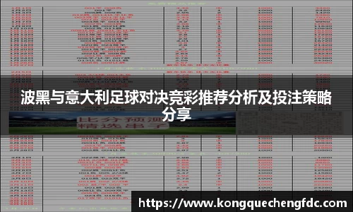 波黑与意大利足球对决竞彩推荐分析及投注策略分享