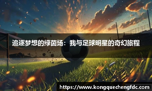 追逐梦想的绿茵场：我与足球明星的奇幻旅程